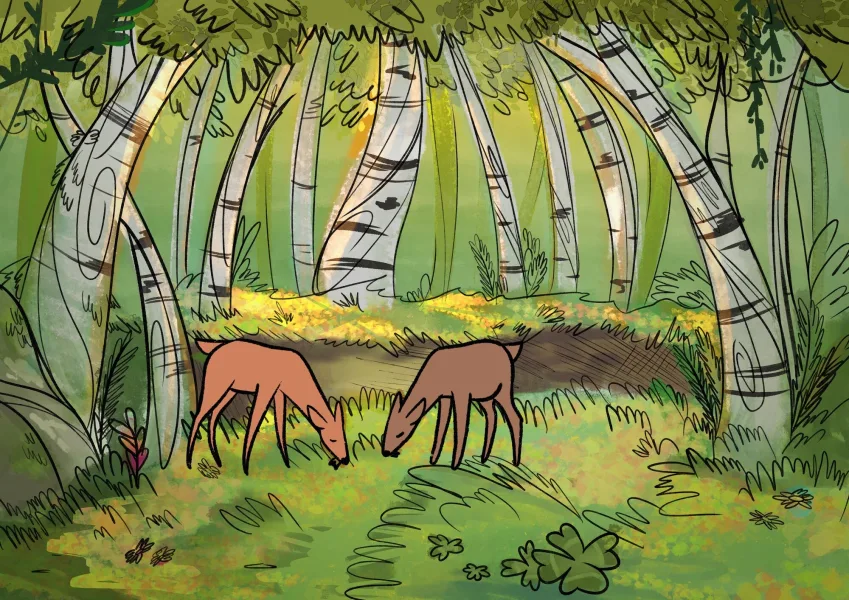 Concept art - the forest